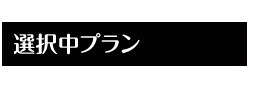 選択中プラン
