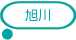旭川
