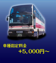 車種指定料金　+5,000円～