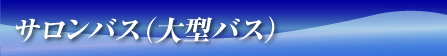 サロンバス（大型バス）
