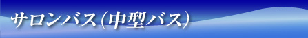 サロンバス（中型バス）