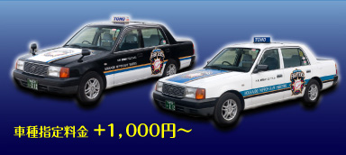 車種指定料金　+1,000円～
