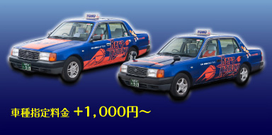 車種指定料金　+1,000円～