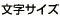文字サイズ