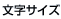文字サイズ