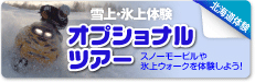 雪上・氷上体験オプショナルツアー　スノーモービルや氷上ウォークを体験しよう！